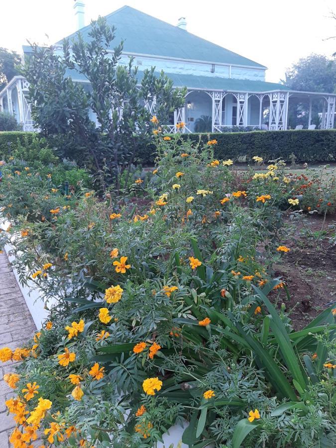 Adley House Bed and Breakfast Oudtshoorn Exteriör bild