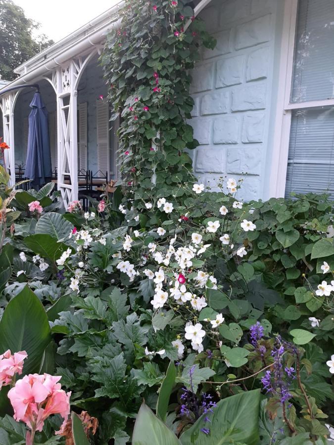 Adley House Bed and Breakfast Oudtshoorn Exteriör bild